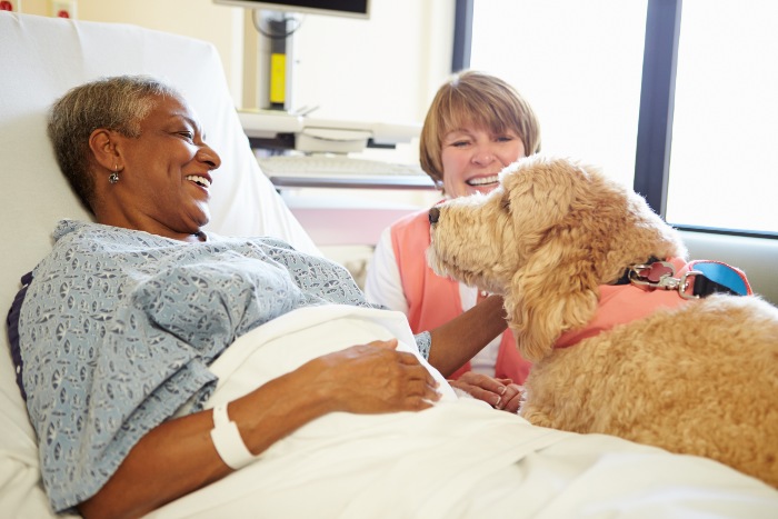 Hospice Pet Visits in Portland, OR